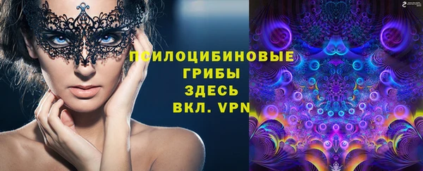 мяу мяу мука Богородицк