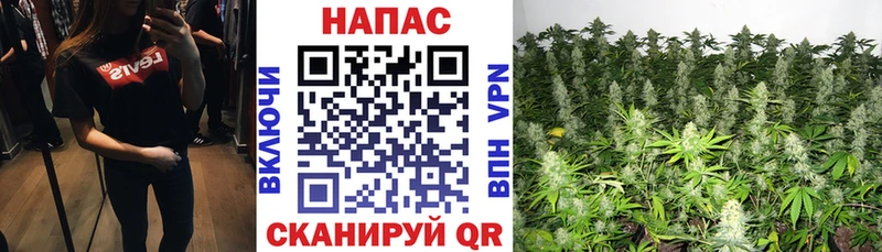Бошки марихуана SATIVA & INDICA Коряжма
